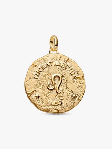Charm Medallón Grande Signo Zodiacal Leo