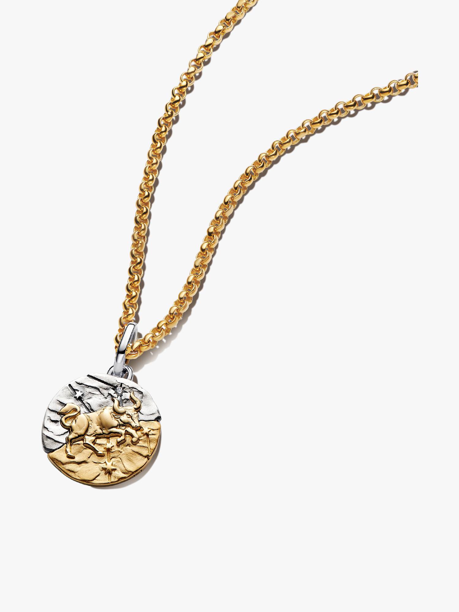 Taurus Talisman Pendant Necklace