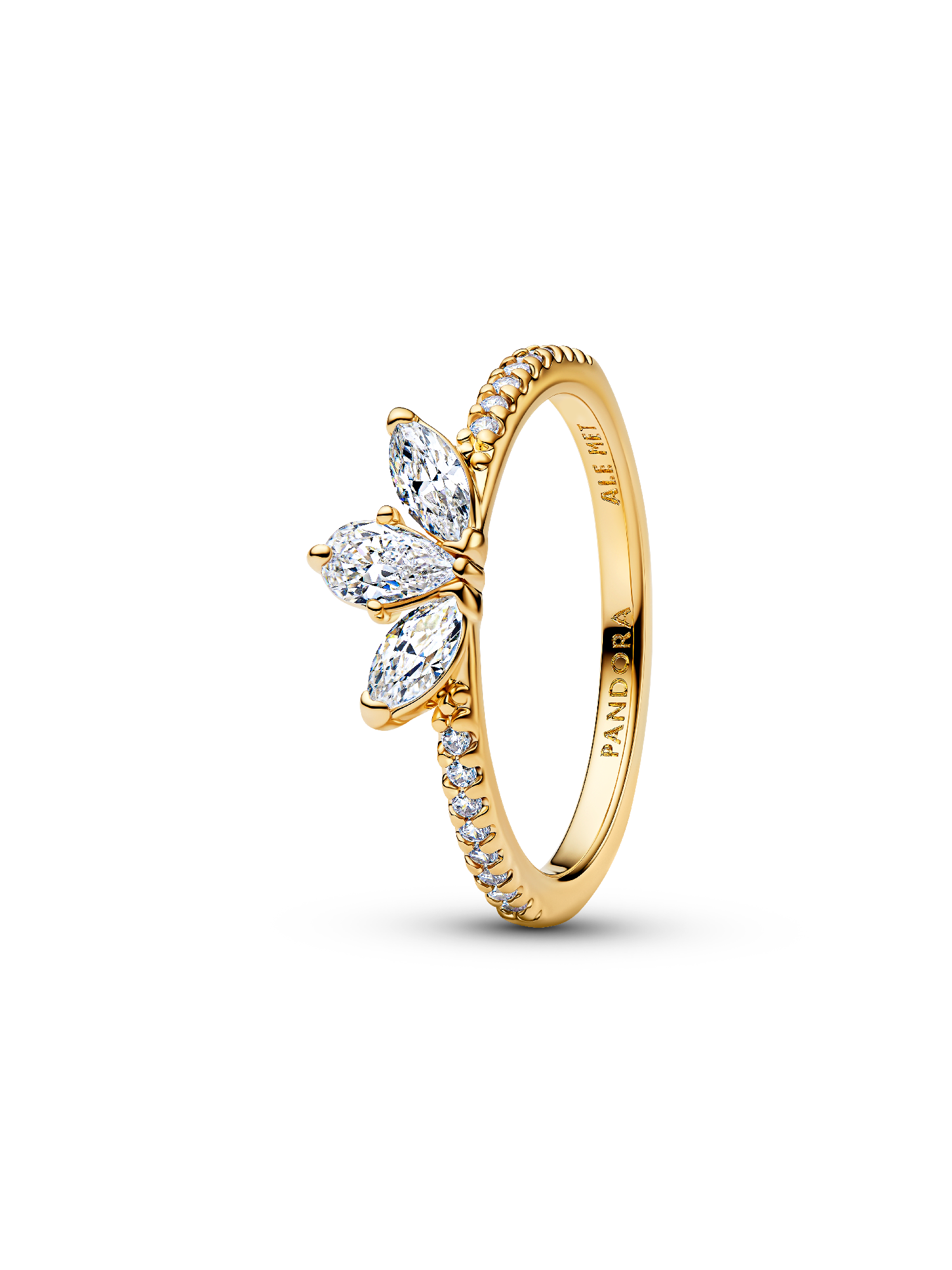 Anillo Racimo herbario reluciente