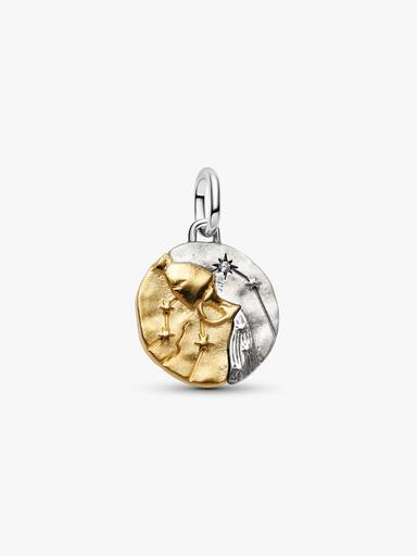 Charm Medallón Signo Zodiacal Acuario