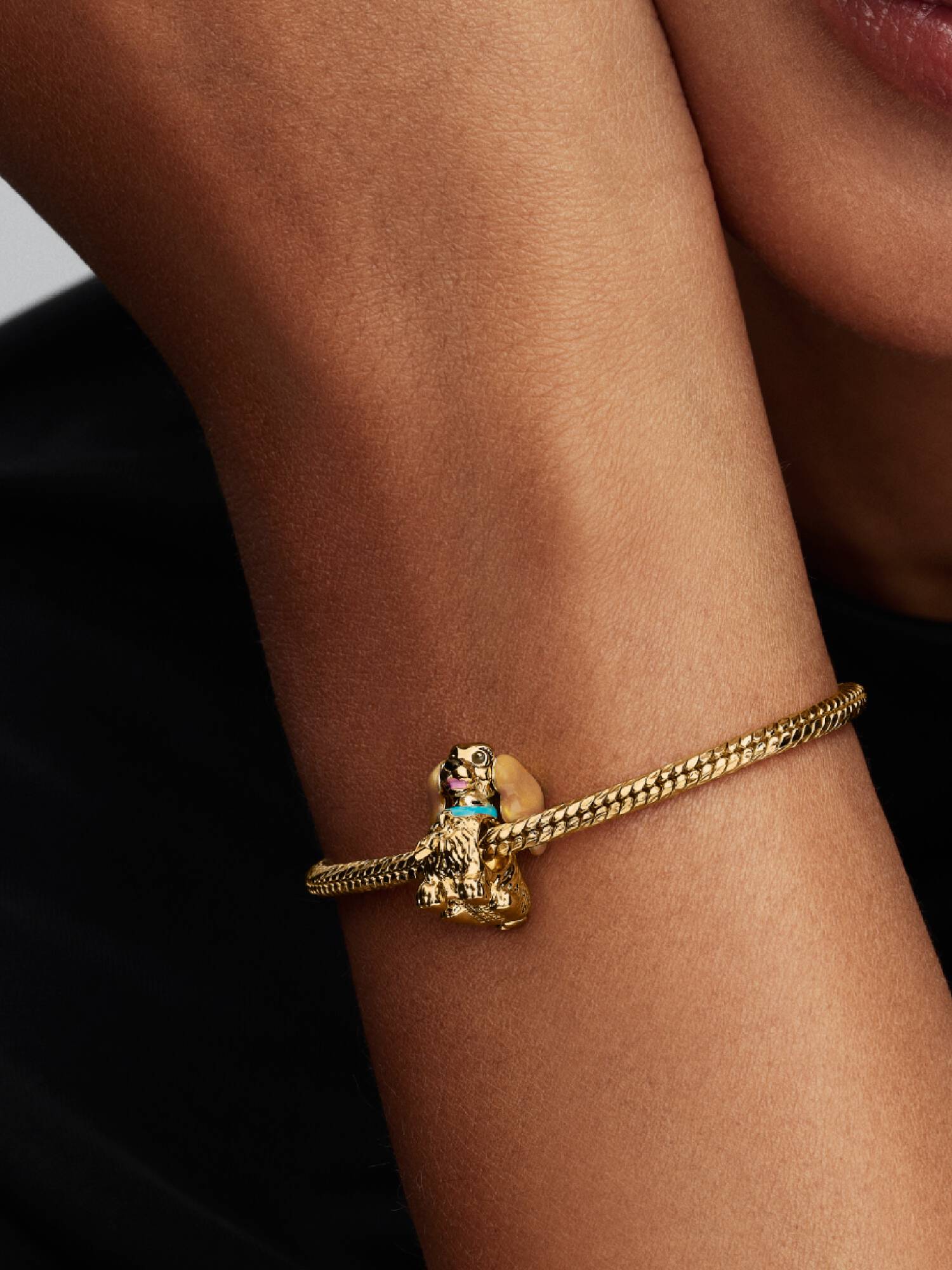 Charm Dama de Disney 