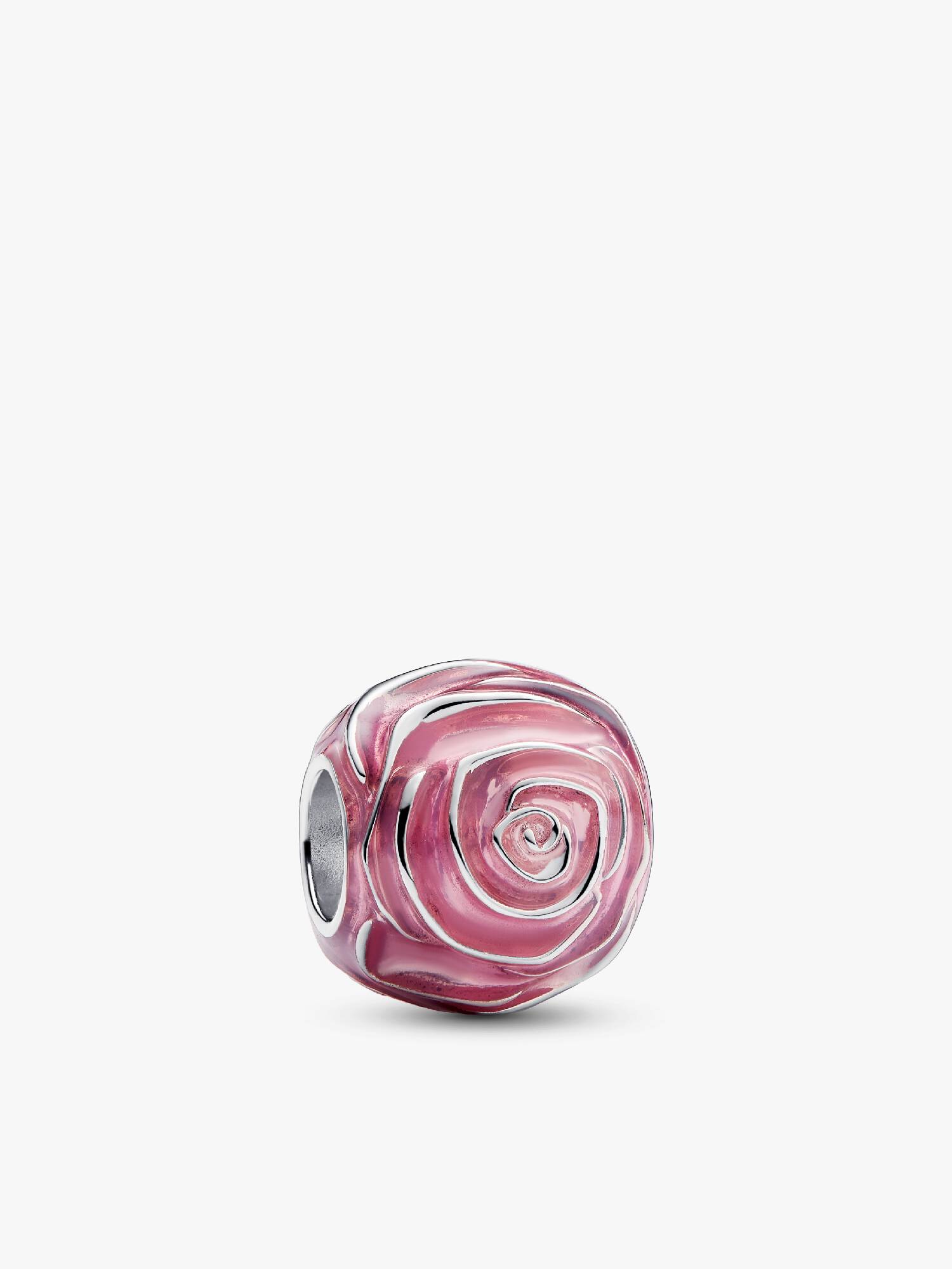 Charm Rosa color rosado en flor