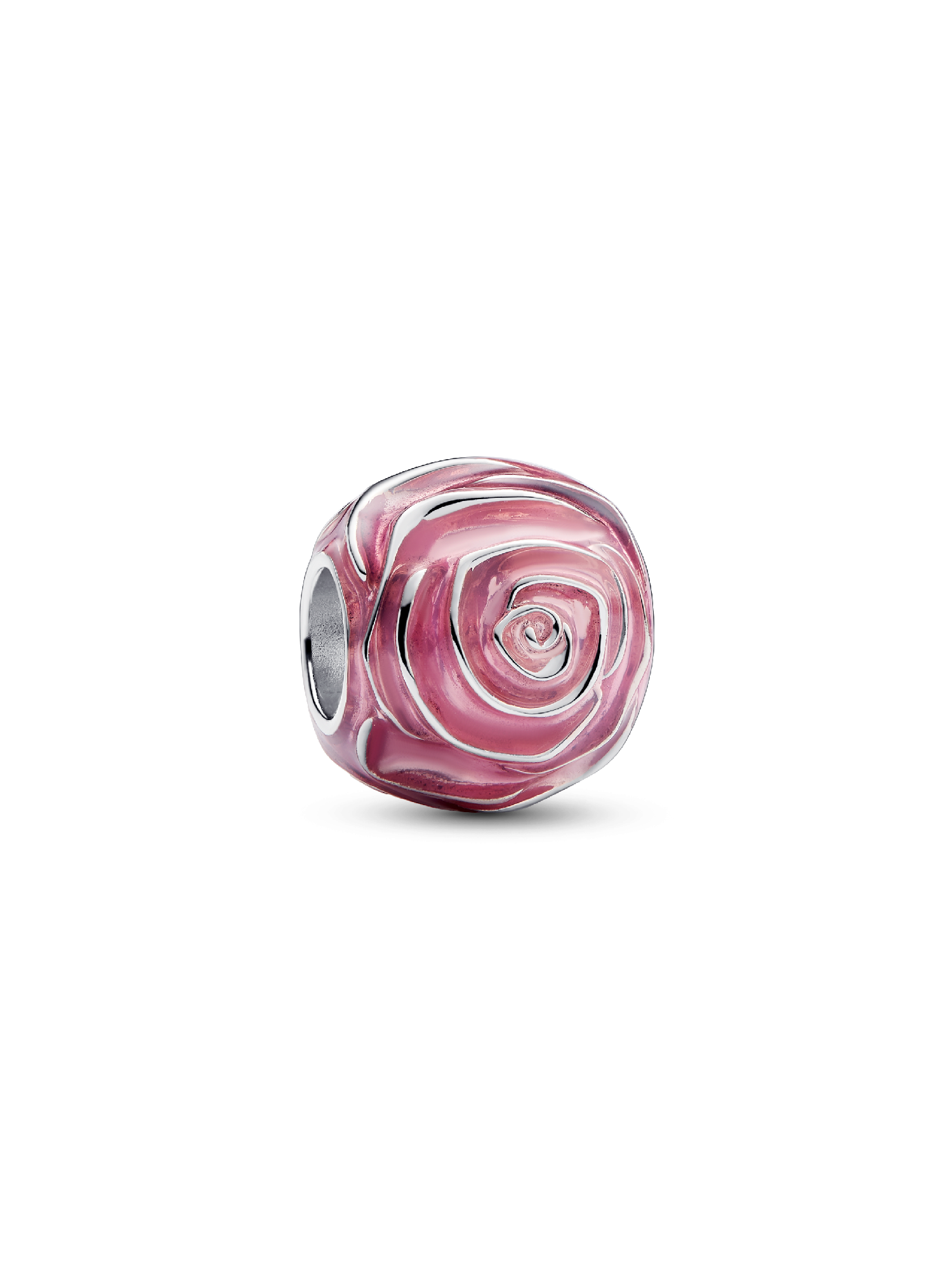 Charm Rosa color rosado en flor