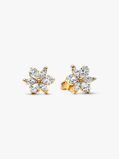 Aretes de botón Racimo Herbario Brillante