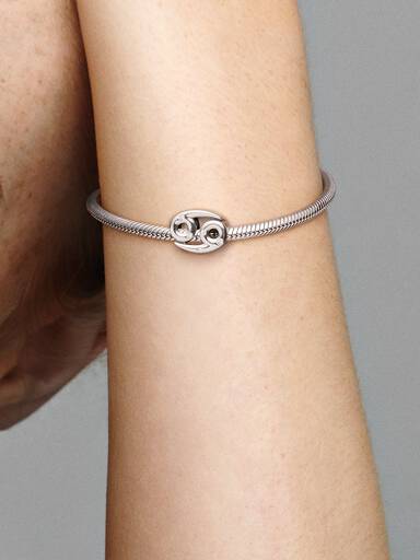Charm del zodíaco Cáncer resplandeciente