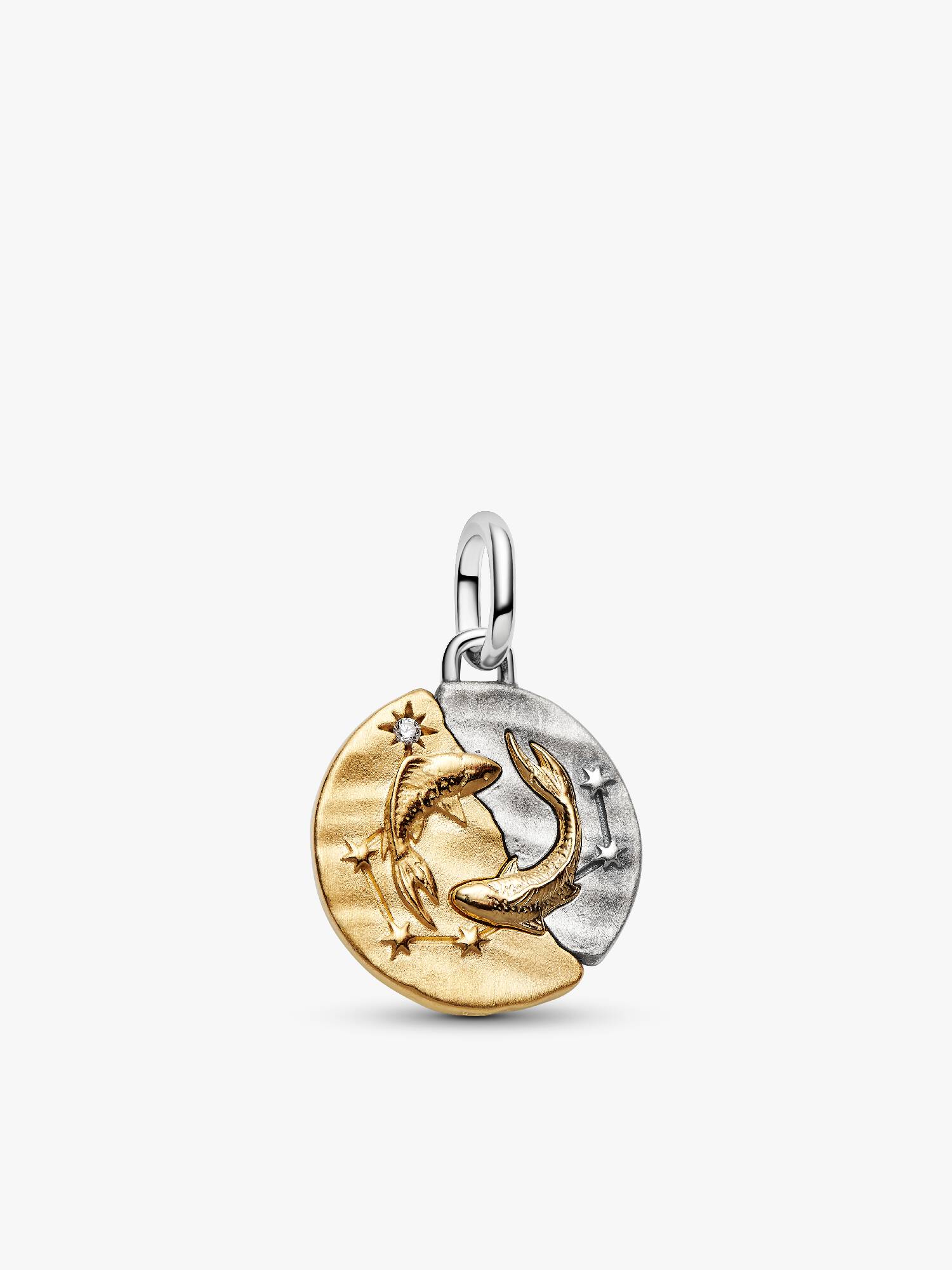 Charm Medallón Signo Zodiacal Piscis