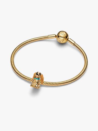 Charm Dama de Disney