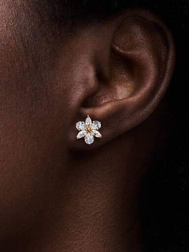 Aretes de botón Racimo Herbario Brillante