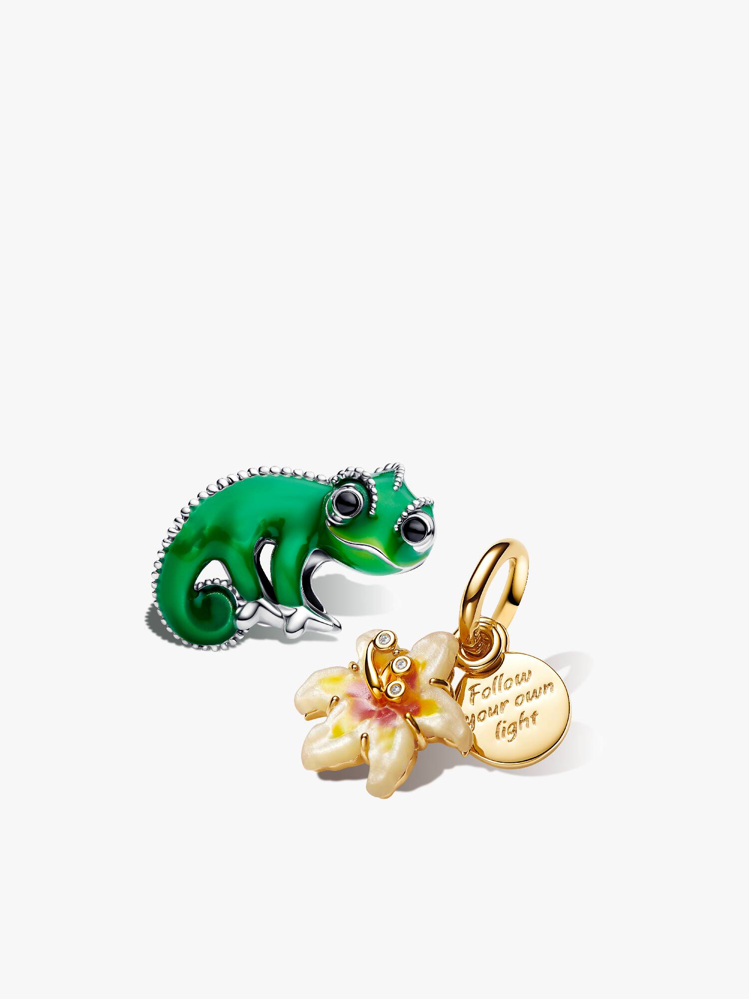 Set de charms Disney Enredados