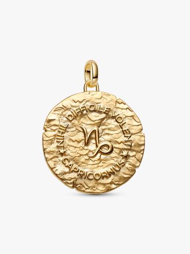 Charm Medallón grande Signo Zodical Capricornio