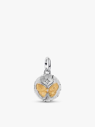 Set de Charms Medallón Mariposa y Rosa