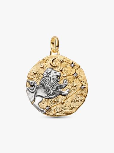 Charm Medallón Grande Signo Zodiacal Leo