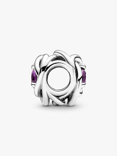 Charm Círculo Eternidad de Febrero
