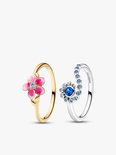 Set de Anillos Donde Estés, Isla y Mar de Moana