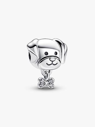Charm Perro mascota y hueso