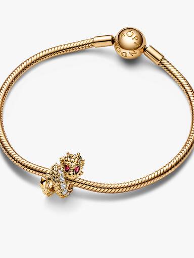 Charm Año Chino del Dragón