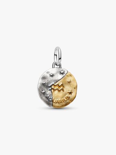 Charm Medallón Signo Zodiacal Acuario