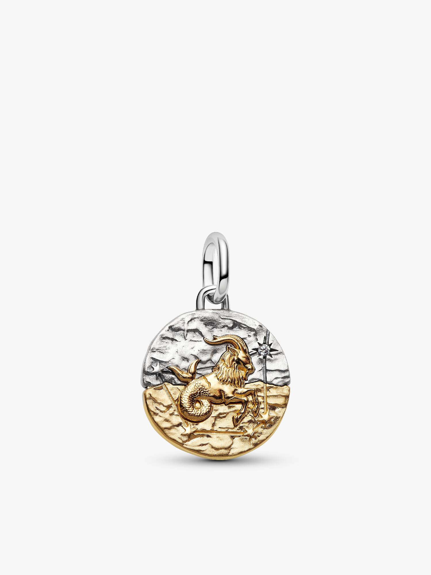 Charm Medallón Signo Zodiacal Capricornio